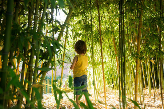 Bamboo Magic: Why We Love Bamboo Lids - Creative Sara Boutique